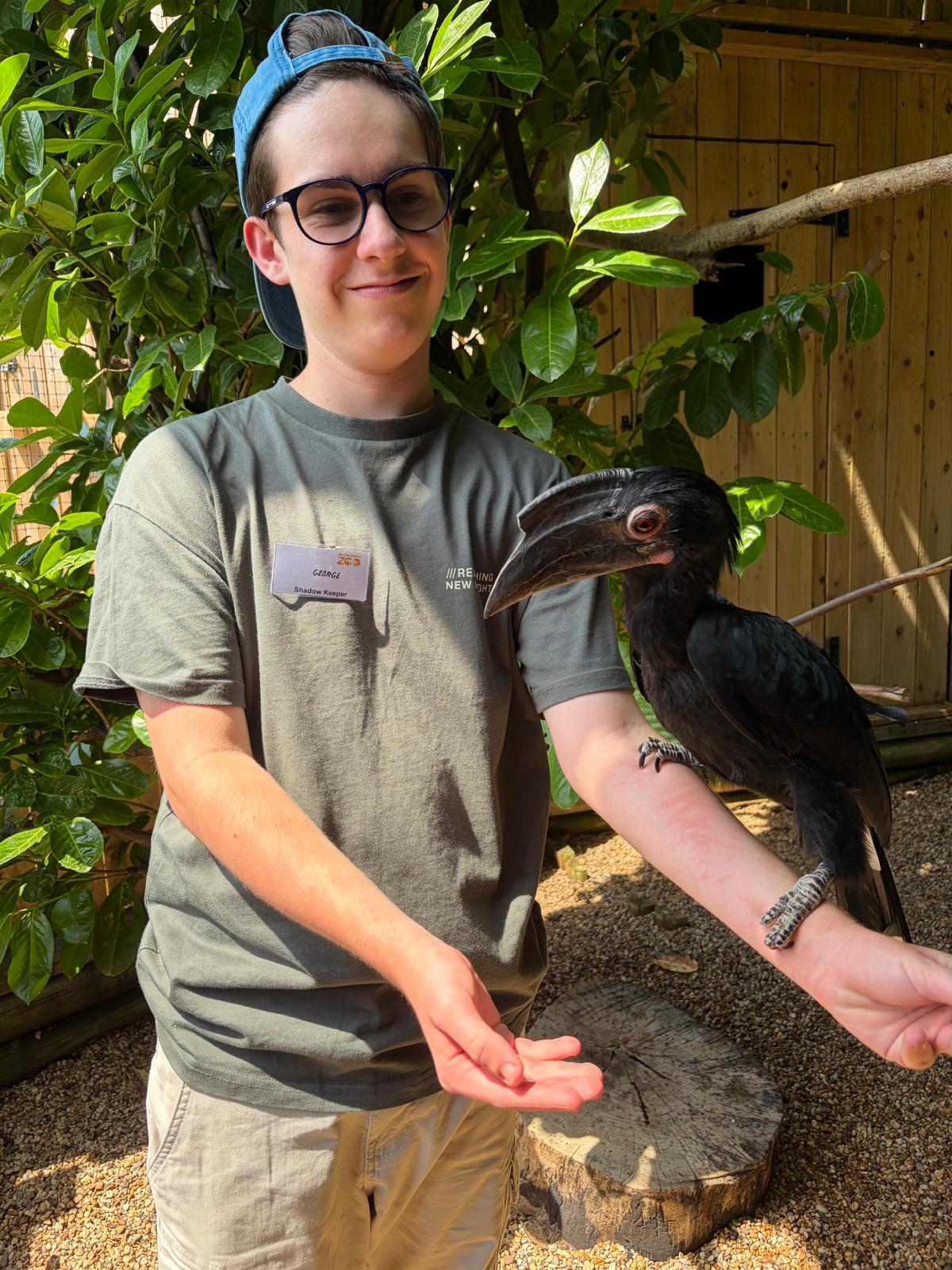 George with a zoo name badge holding out his arm as a hornbill perches on it